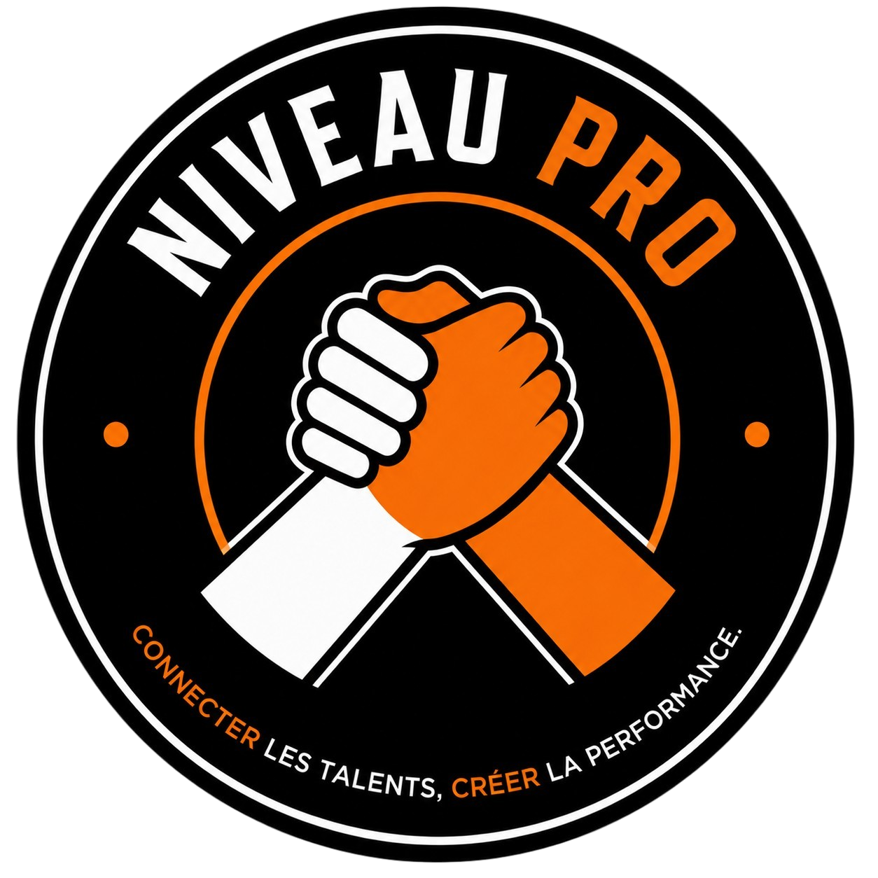 Logo niveaupro